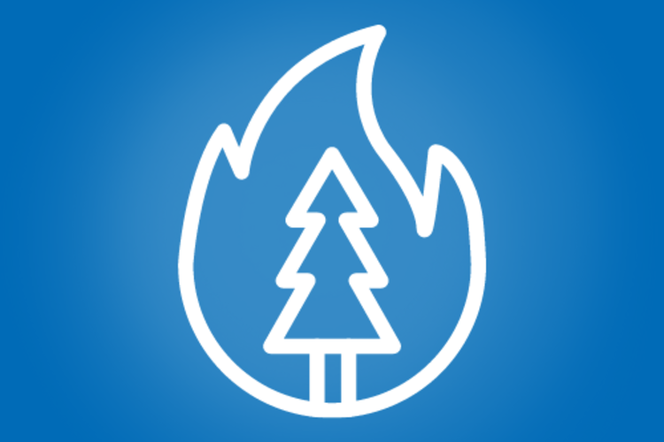 Wildfire Safety Icon